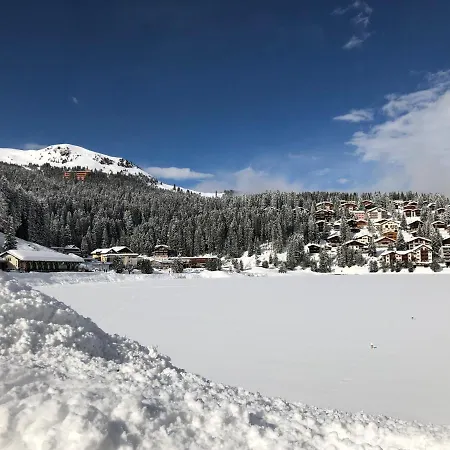 Vetter Arosa