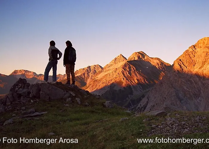Vetter Arosa
