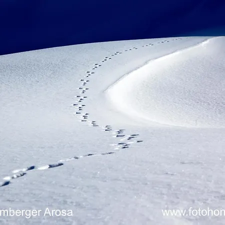 阿罗萨维特酒店