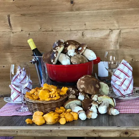 阿罗萨维特酒店 酒店